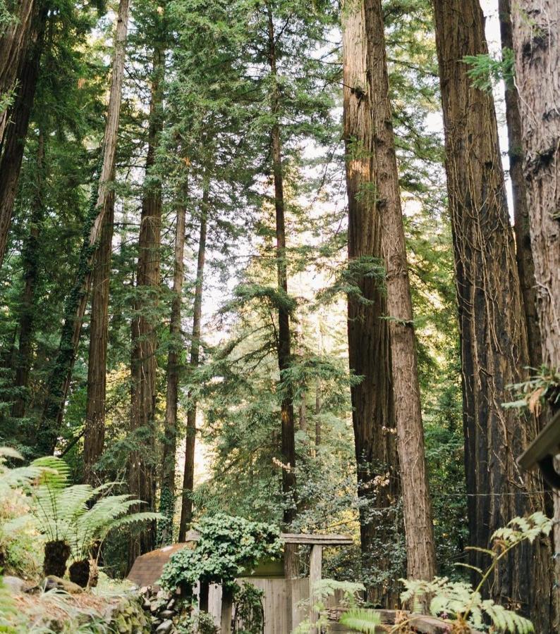 Sur Grove Big Sur Vila Exterior foto